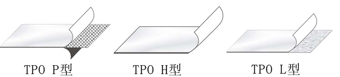 TPO Waterproof Sheet Extrusion Line2